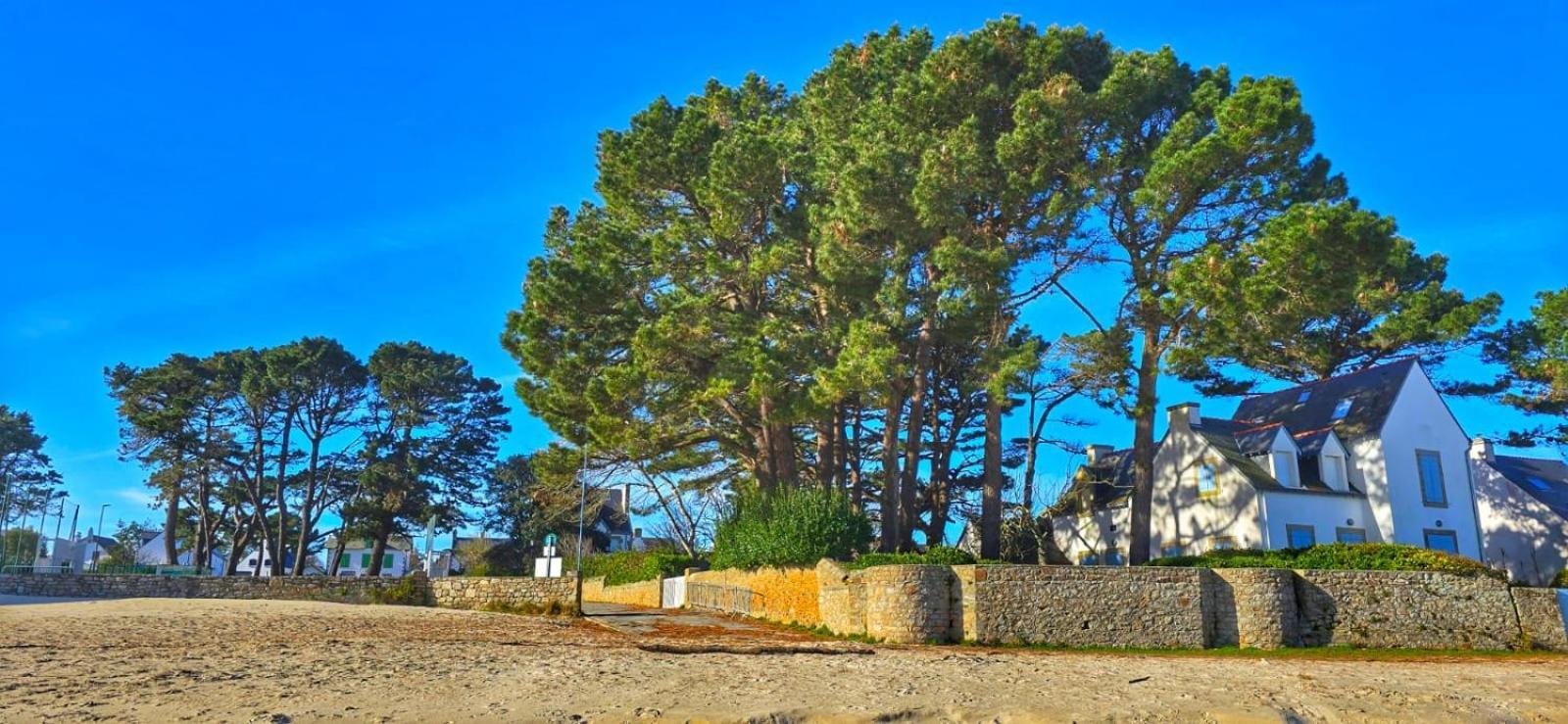 Cocon Neuf - 6 A 8 Pers 3 Chb Proche Plage, Port, Centre Ville Сен-П'єрр-Кіберон Екстер'єр фото